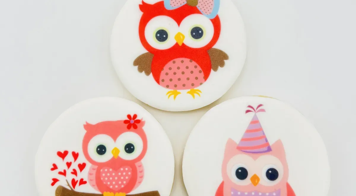 Owl birthday printed photo cookies Bay Area