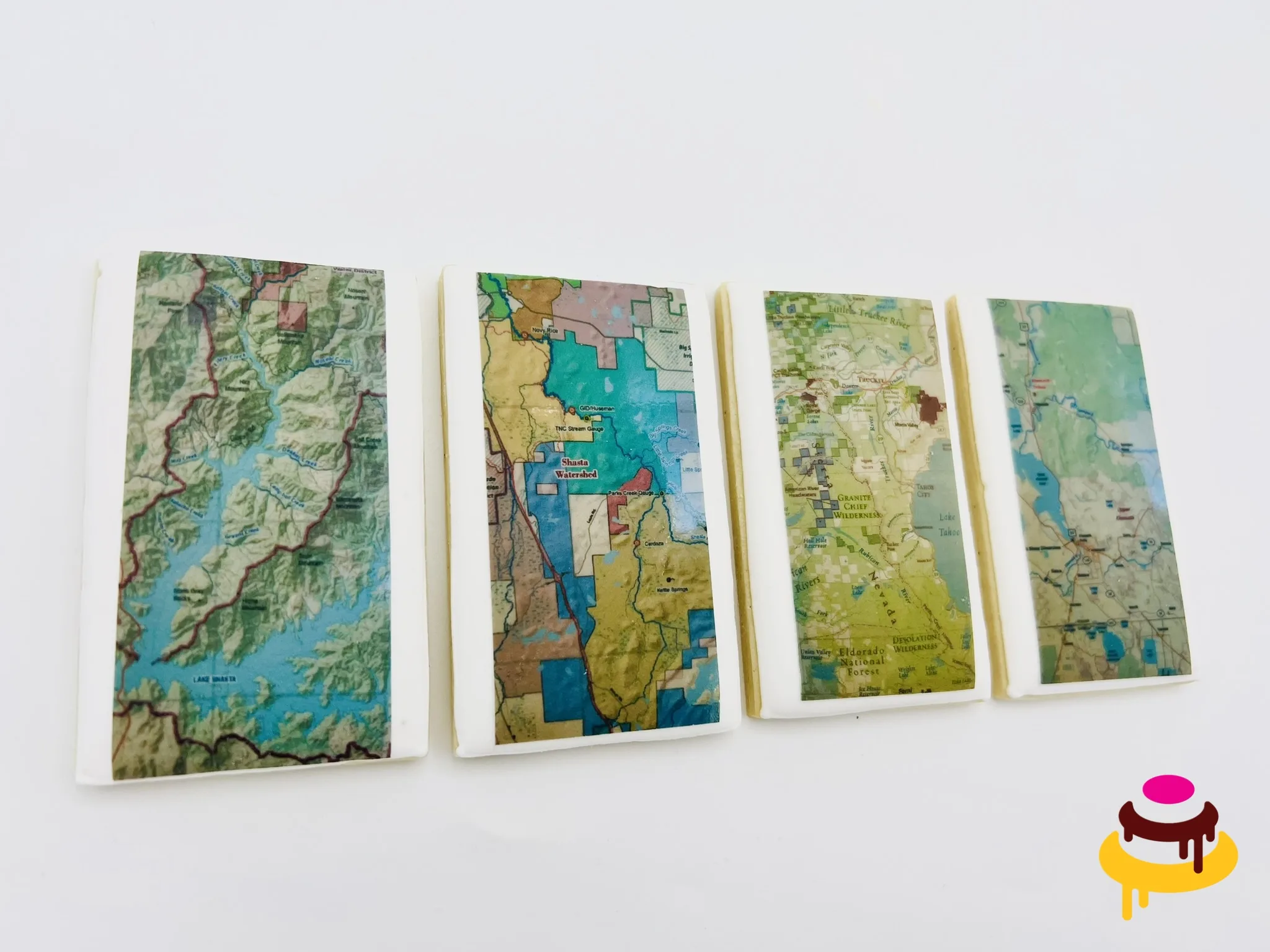Topographic map printed image cookies
