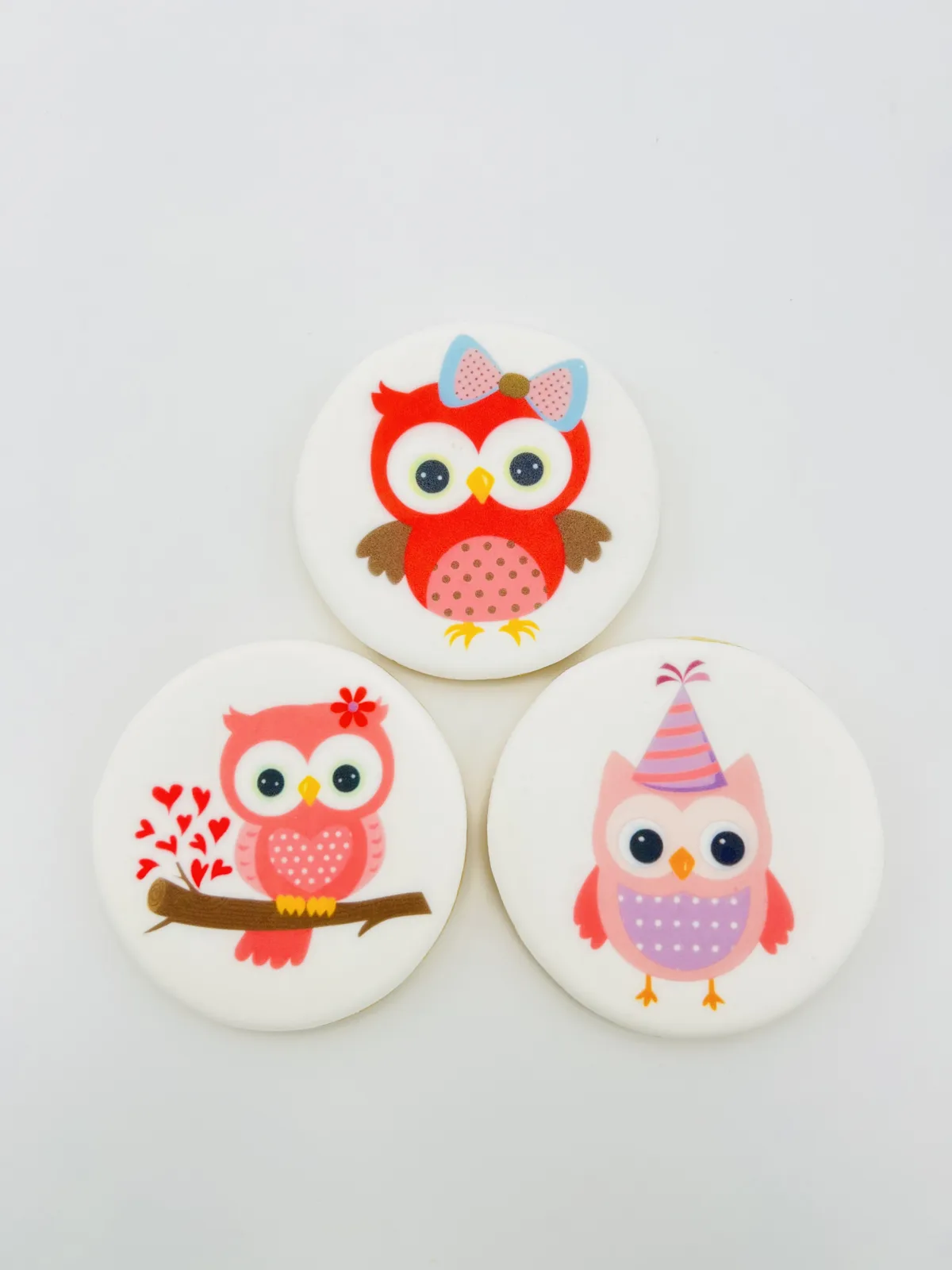 Owl birthday photo cookies