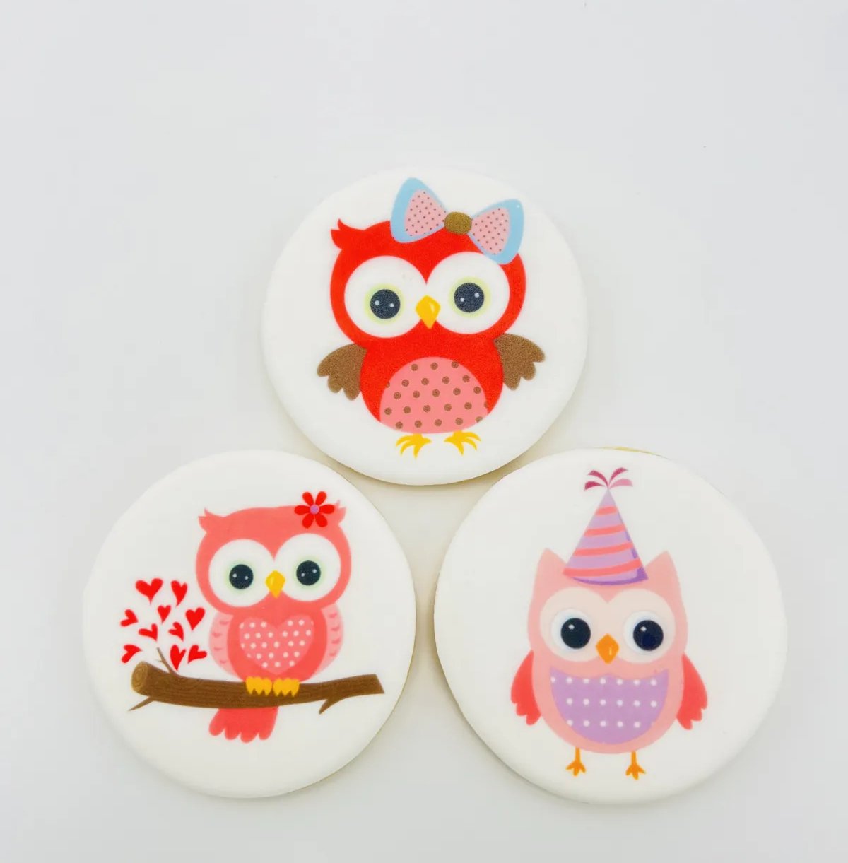 Owl birthday photo cookies by My Baking Creations